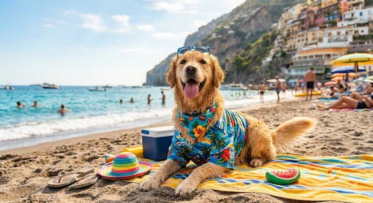Vacanze con gli animali: soluzioni e consigli per viaggiare insieme in Italia